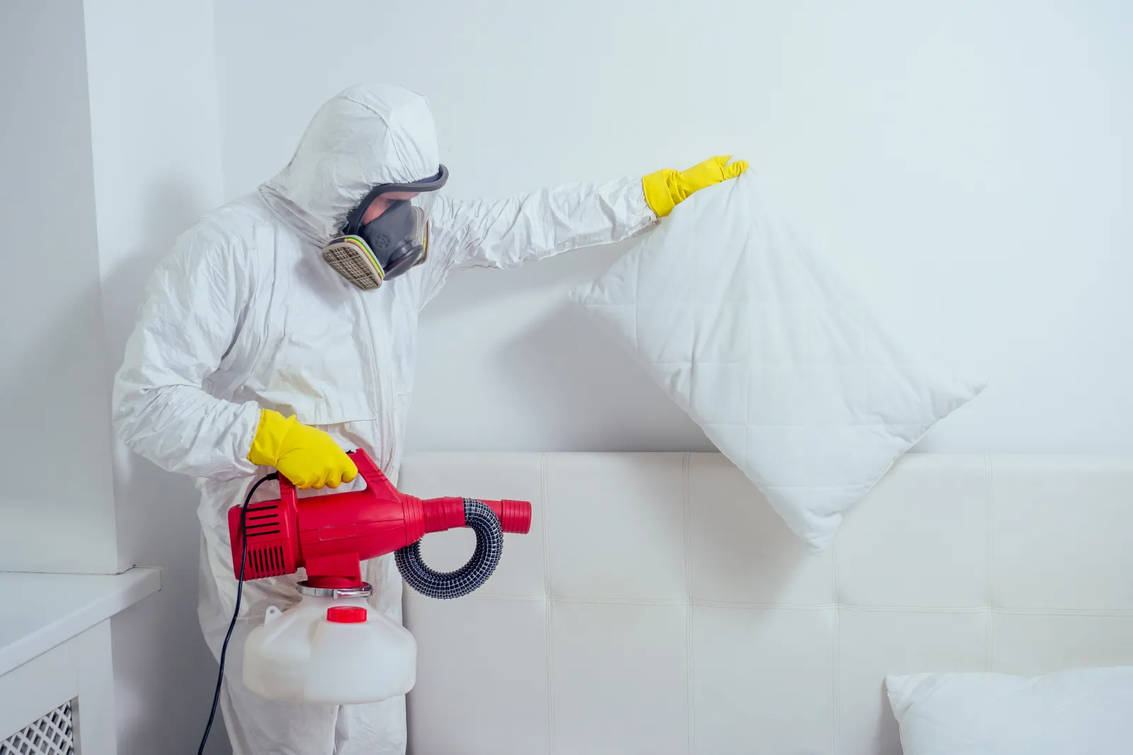Chemical treatments for Bed Bugs