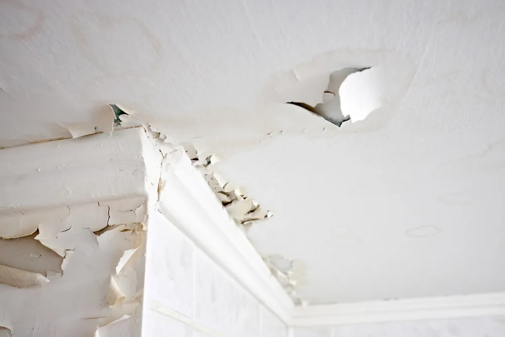Common Findings in Pre-Purchase Inspections