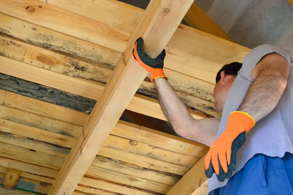 Conducting Regular Rental Inspections