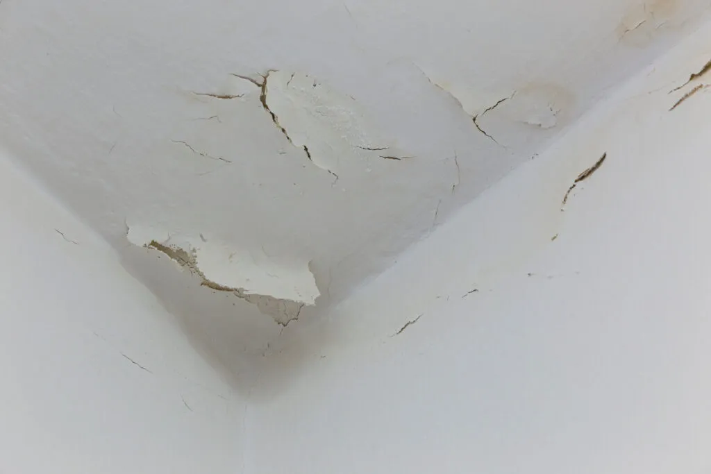 Major Problems Detected During Building Inspections: Common Problems Found During Building Inspections