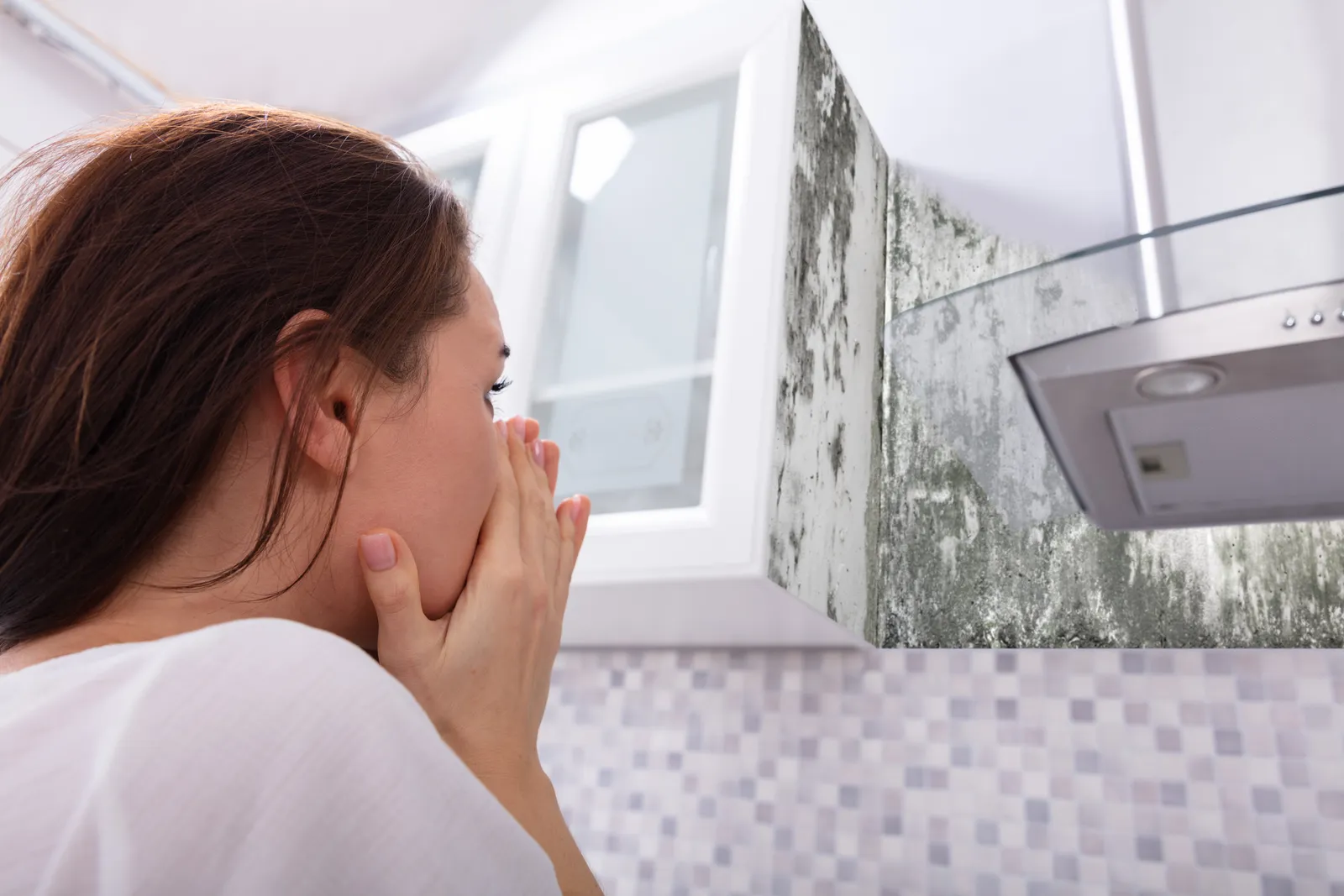 Educating Tenants on Mold Prevention and Air Quality Maintenance