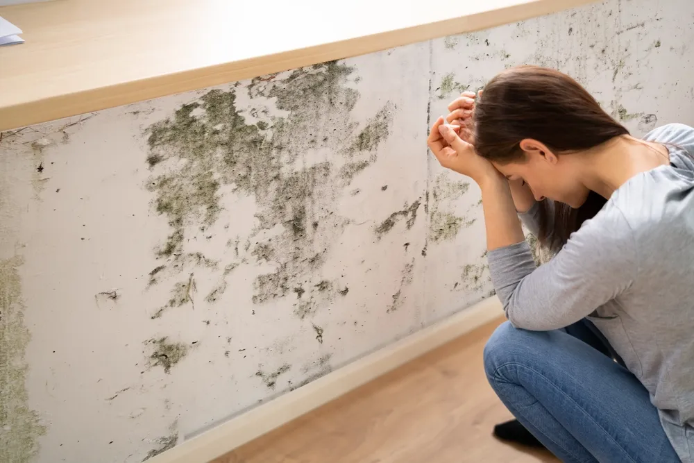 Ensuring Compliance and Preventing Mould Growth