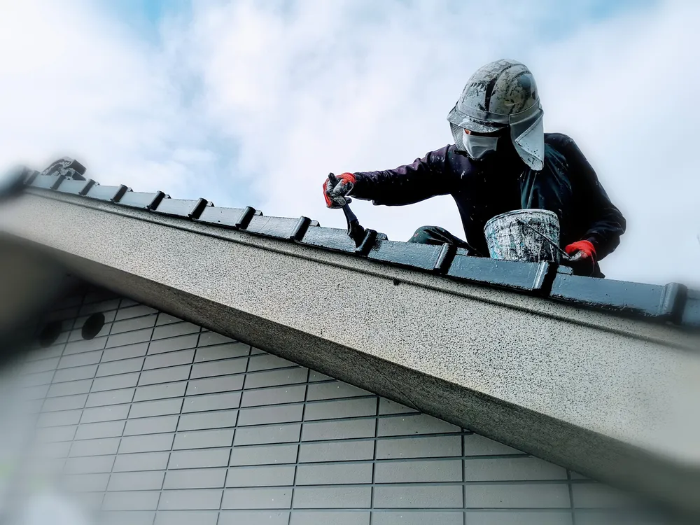 Importance of Choosing Quality Roof Paint