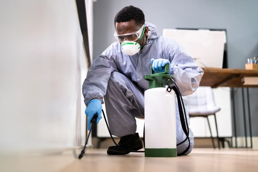 From Pests to Foundations: Comprehensive Inspections for Property Peace Of Mind: Importance of Pre-Purchase Building and Pest Inspections