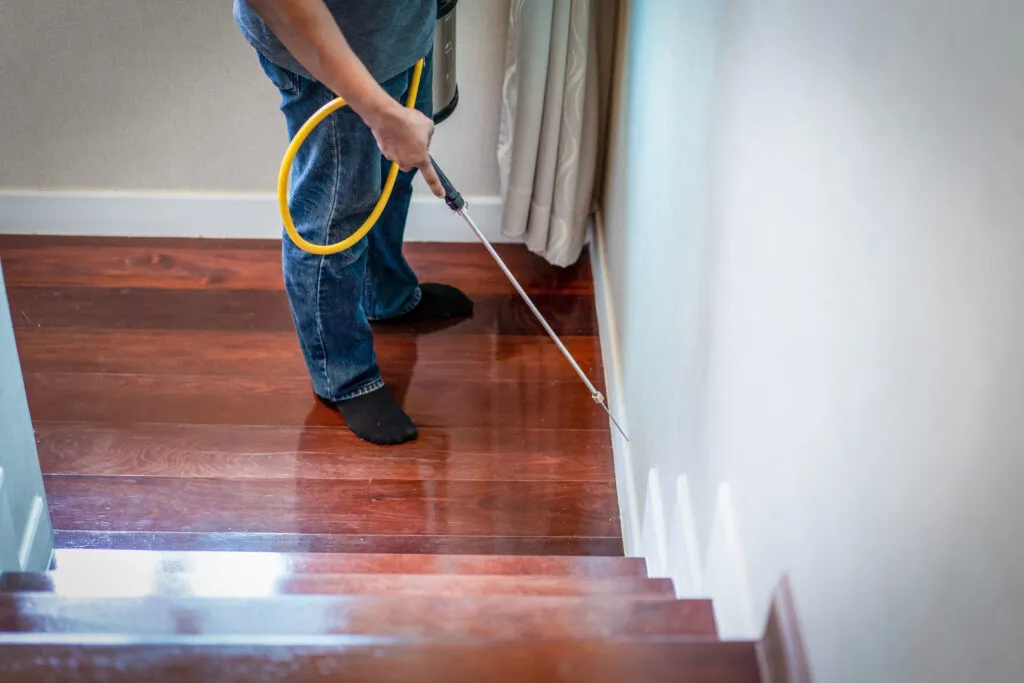 Feathered Foes and Wooden Woes: Pest Inspections for Avian and Termite Infestations: Importance of Pre-Purchase Pest Inspections