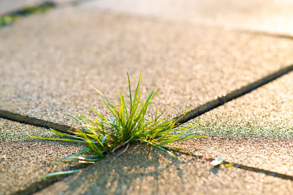 Key Elements to Inspect during a Patio Inspection