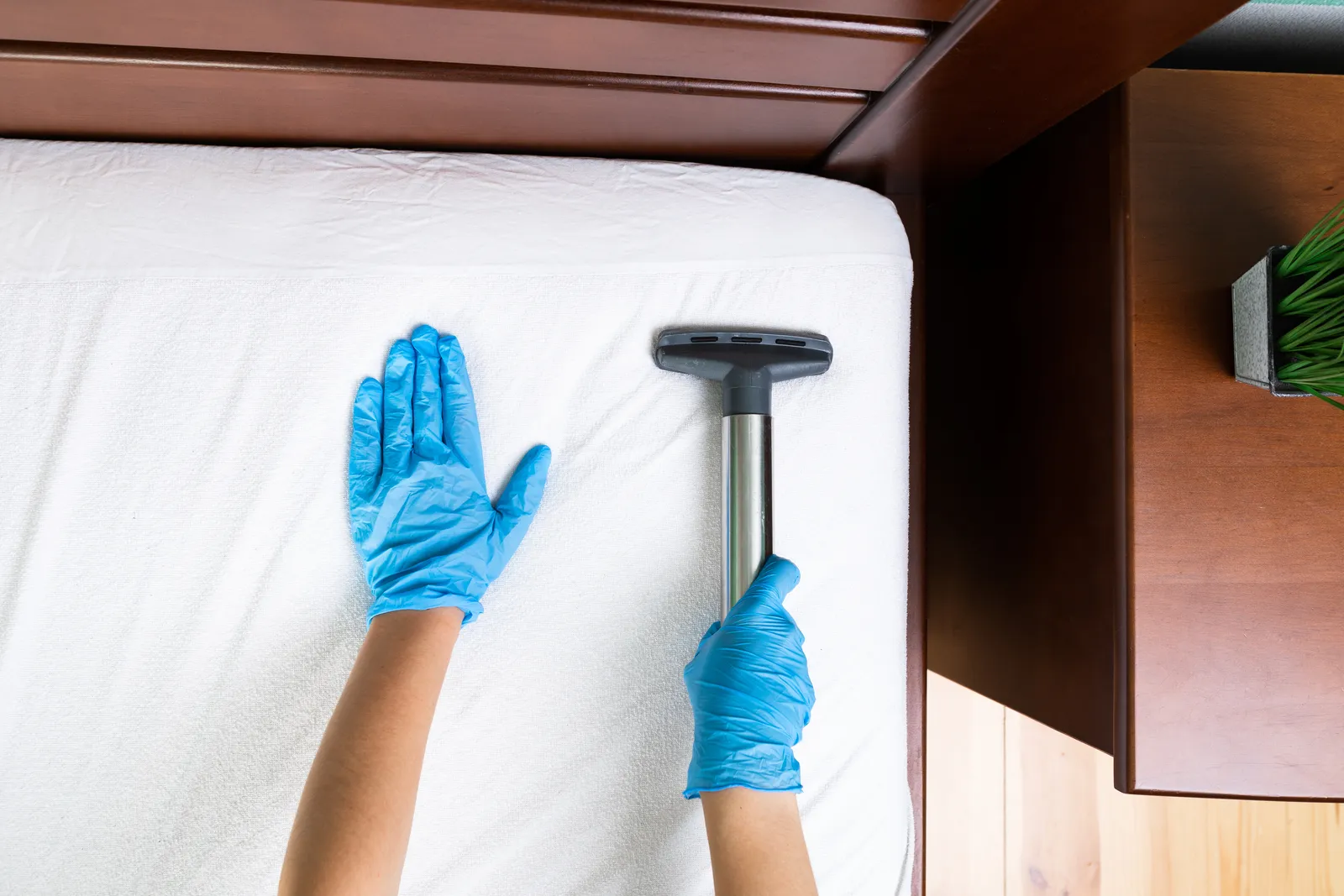 Prevention Strategies: Bed Bugs