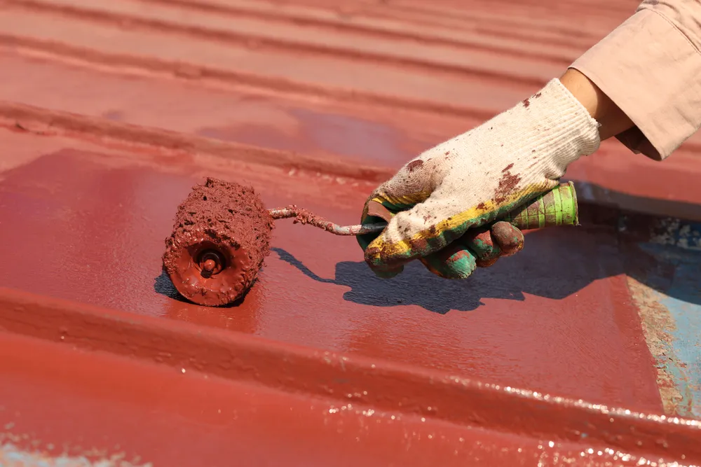 Maintaining Your Investment Best Roof Care Tips