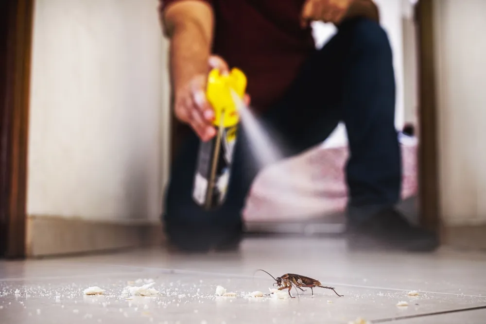 Mitigation strategies for property owners