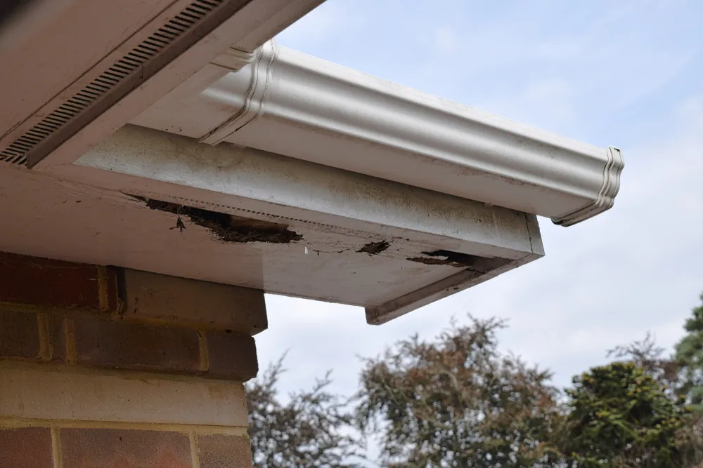 Major Problems Detected During Building Inspections: Other Common Building Defects