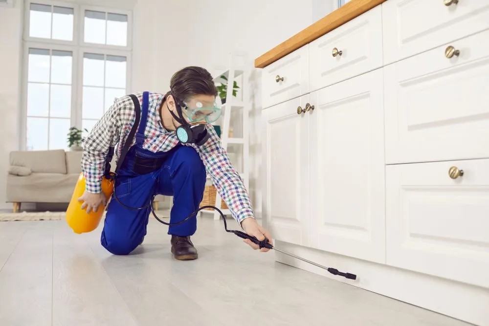 Pest control technician spraying kitchen cabinets indoors