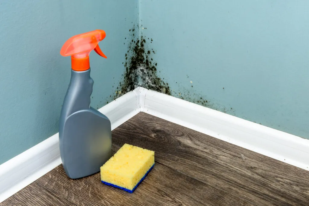Preventing and Managing Moisture in Homes