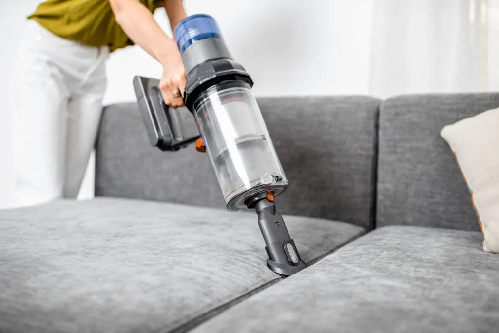 Bed Bug: Preventive Measures