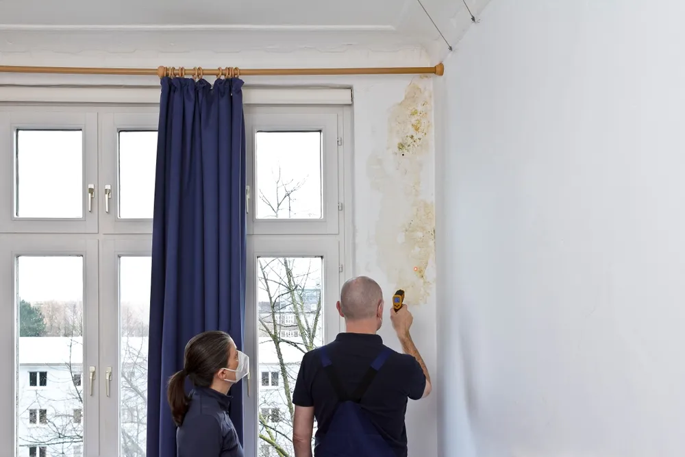 Steps to Sell a Property with Mould