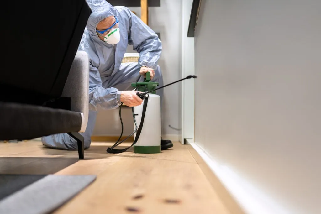 Taking Action Against Termites
