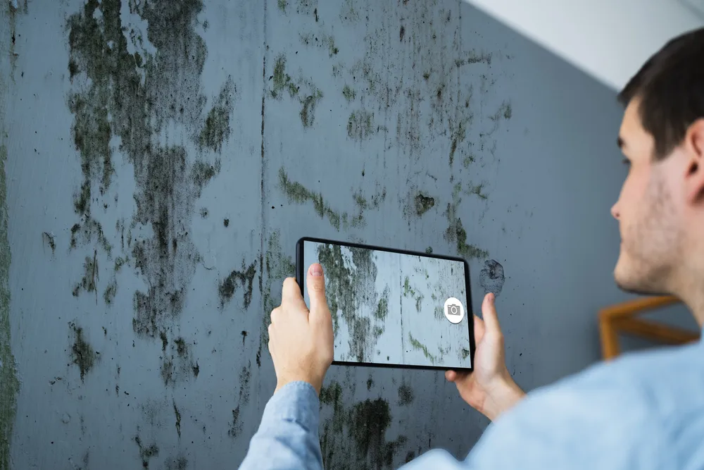 Techniques Used in Mould Detection