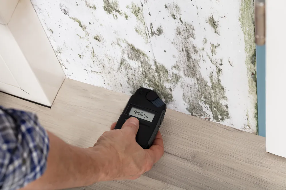 Technologies Used in Mould Detection
