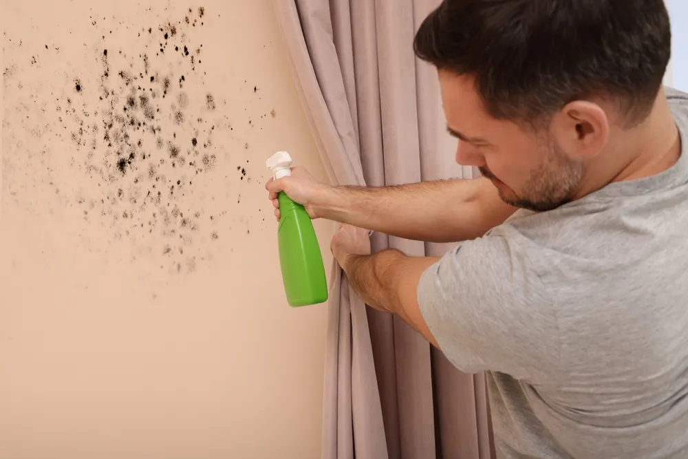 The Cost-Benefit Analysis of Regular Home Maintenance
