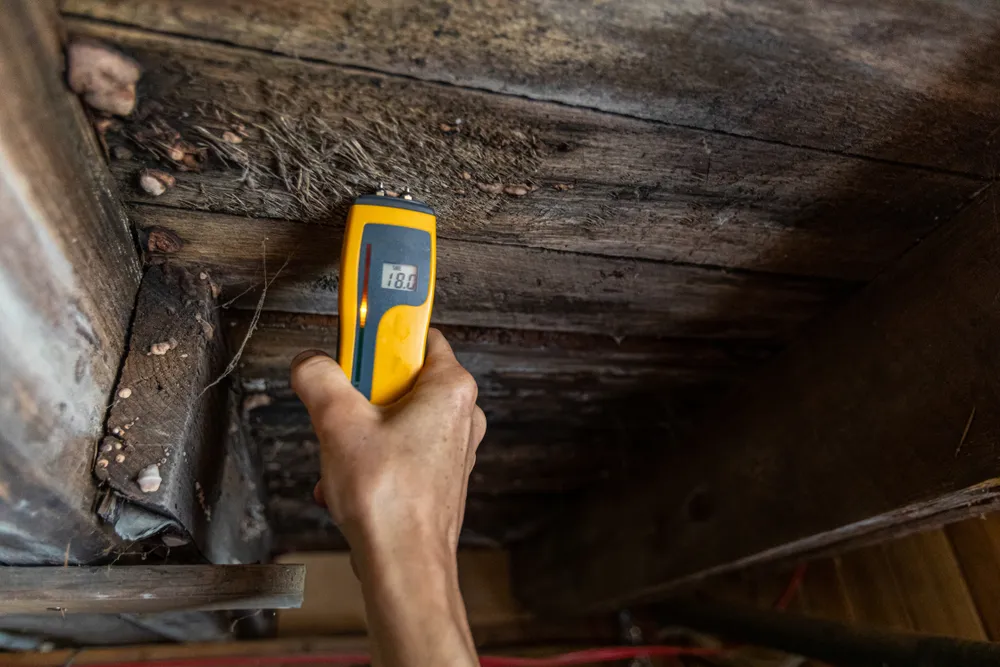 The Implications of Hidden Building Defects