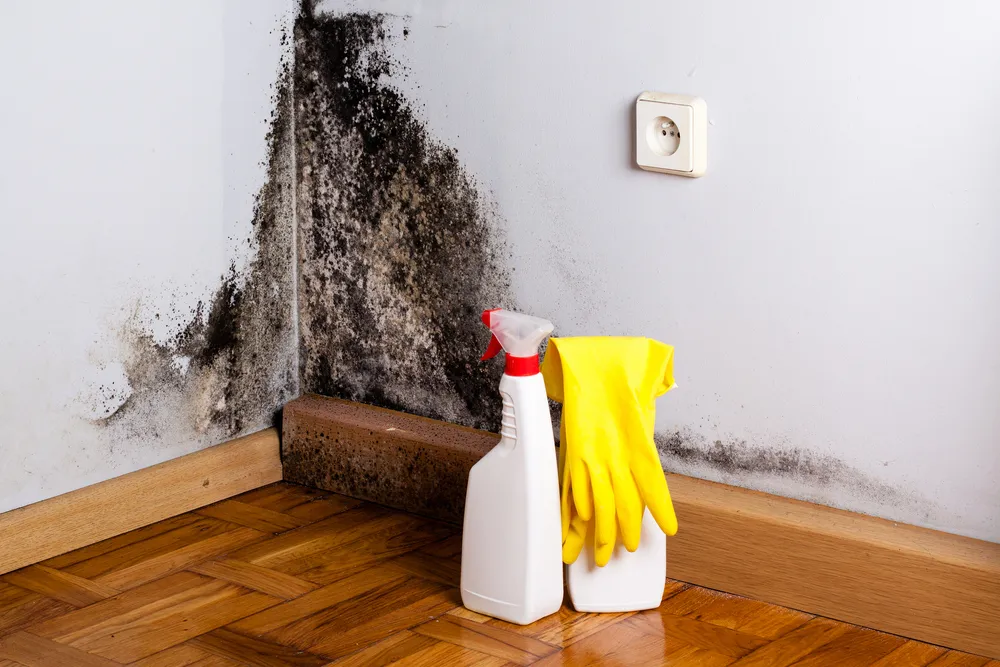 The Importance of Regular Home Maintenance