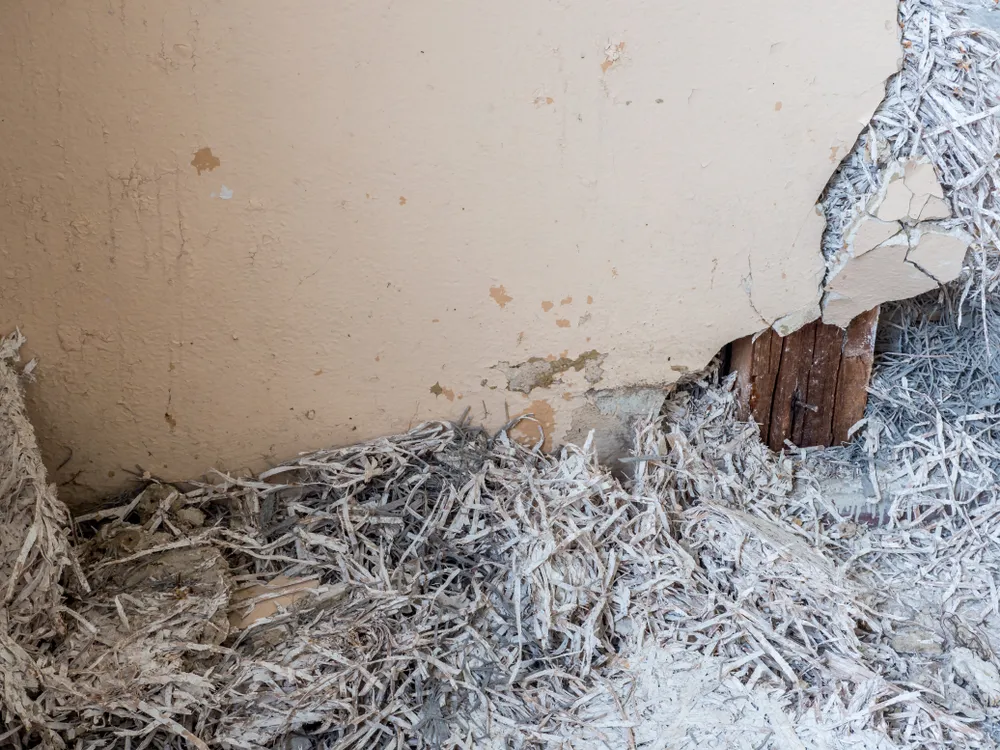 The Art of Asbestos Inspections: Training, Process, and Certifications - The Process of Asbestos Inspections