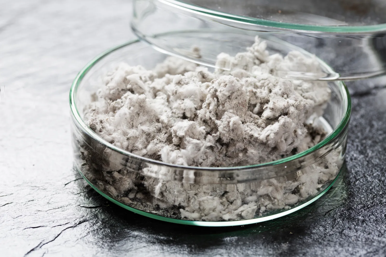 Asbestos Inspections: Unmasking the Silent Killer in Your Building - The Process of Asbestos Testing and Inspection