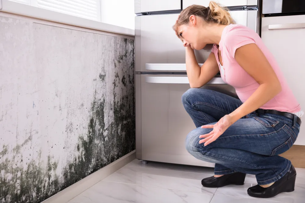 The Value Proposition of Mould Inspections