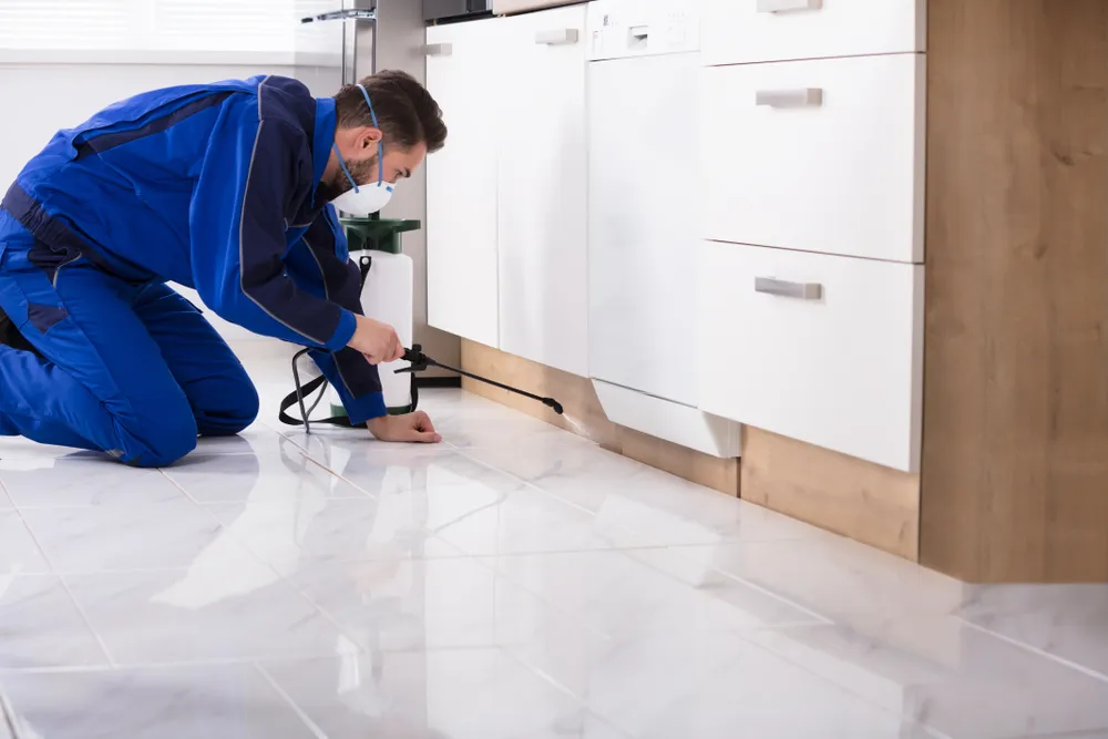 Tips for Preventing Pest Infestations