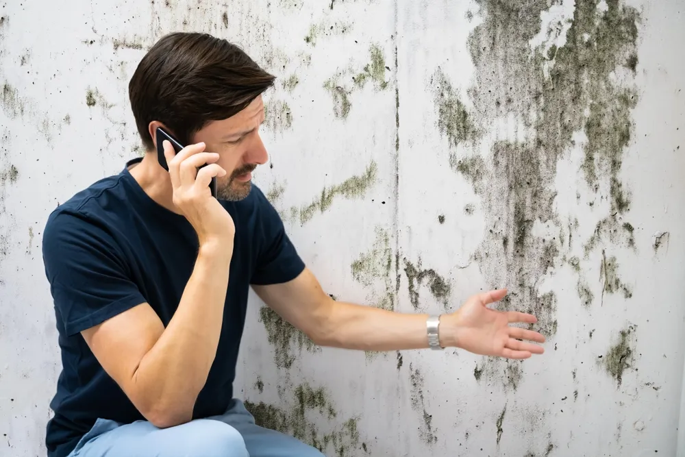 Understanding Mould and its Risks