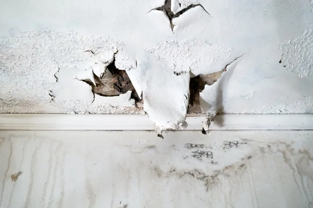 Understanding Rental Inspections and Building Defects