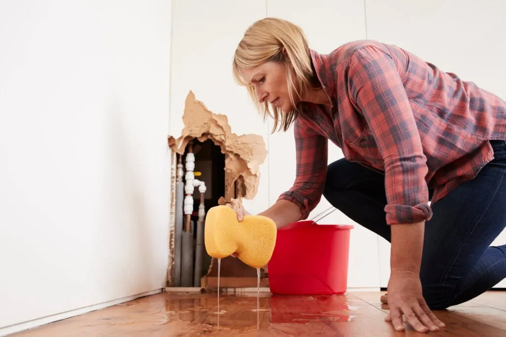 Understanding Structural Damage and Its Warning Signs