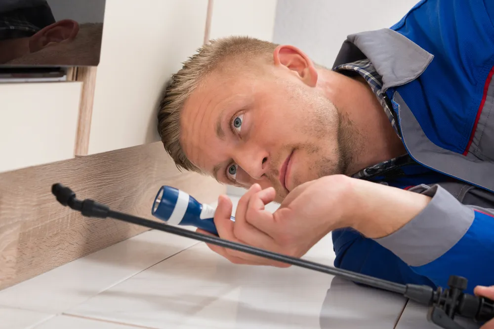 What is a Pest Inspection and Why is it Important?
