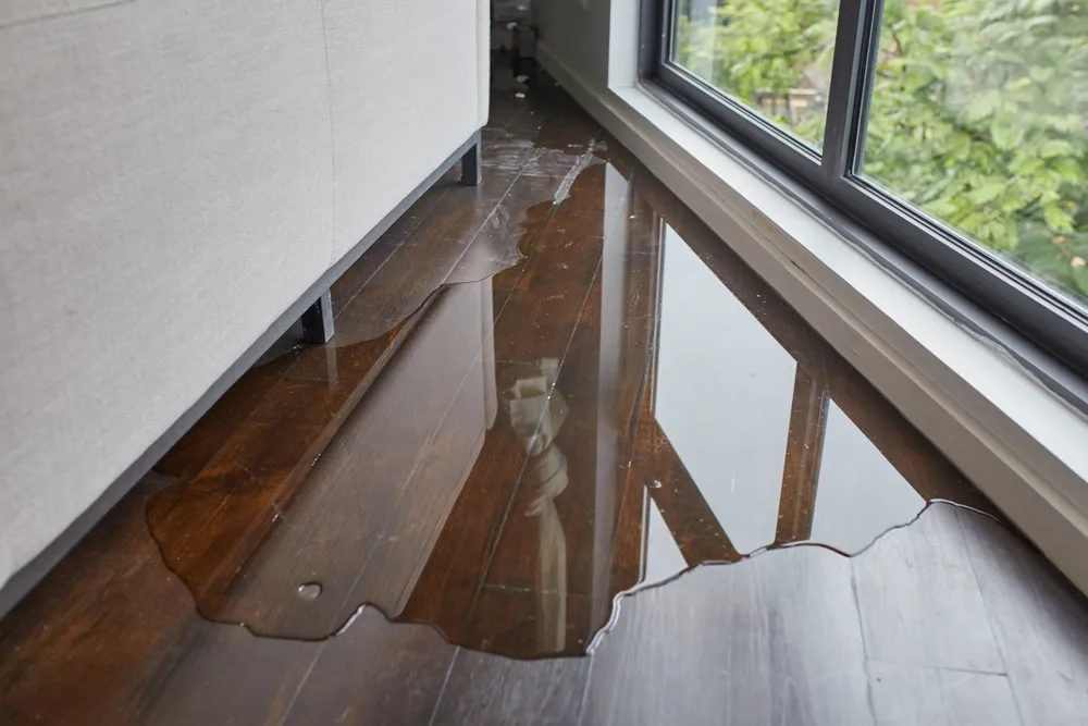 Why is a Strata Inspection Report Necessary?