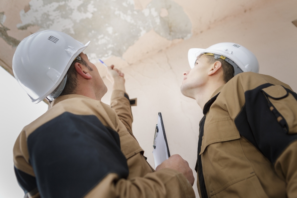 Benefits Of Building And Pest Inspections On The Central Coast