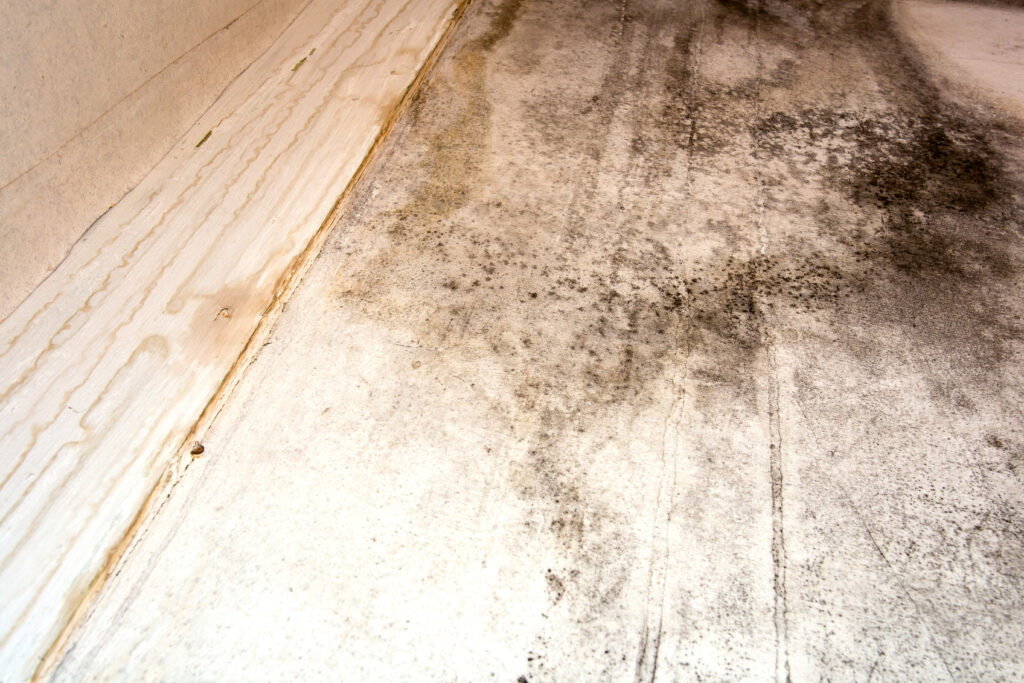 Clearing the Air: Rental Inspections for Mold and Air Quality Issues - Importance of Rental Inspections for Mould and Air Quality Issues