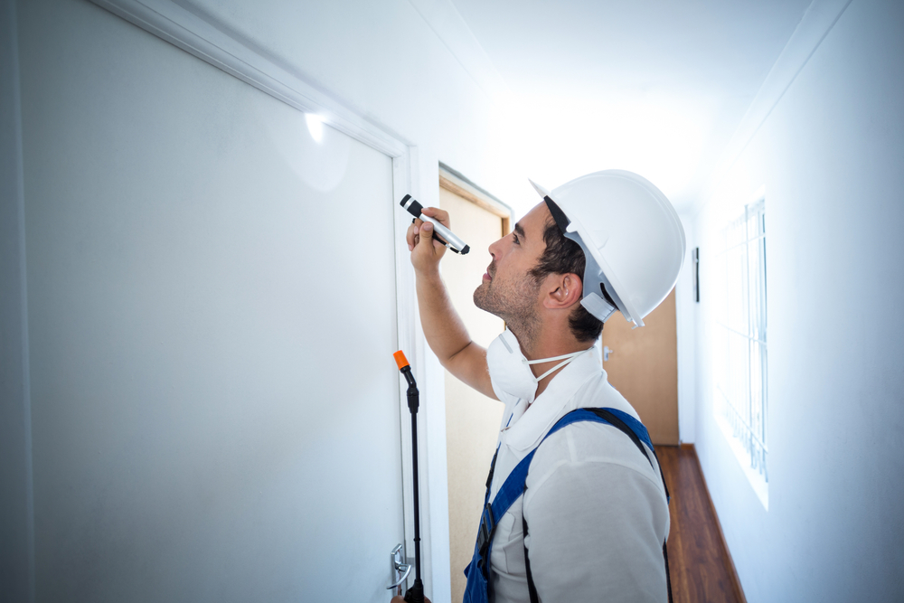 The Process of Professional Pest Inspections